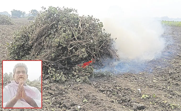 Chandrababu Govt Fails to Support Farmers Affected by Montha Cyclone