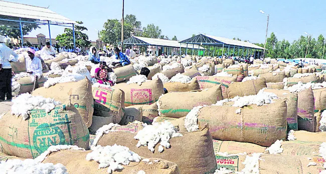నిలిచిన పత్తి కొనుగోళ్లు