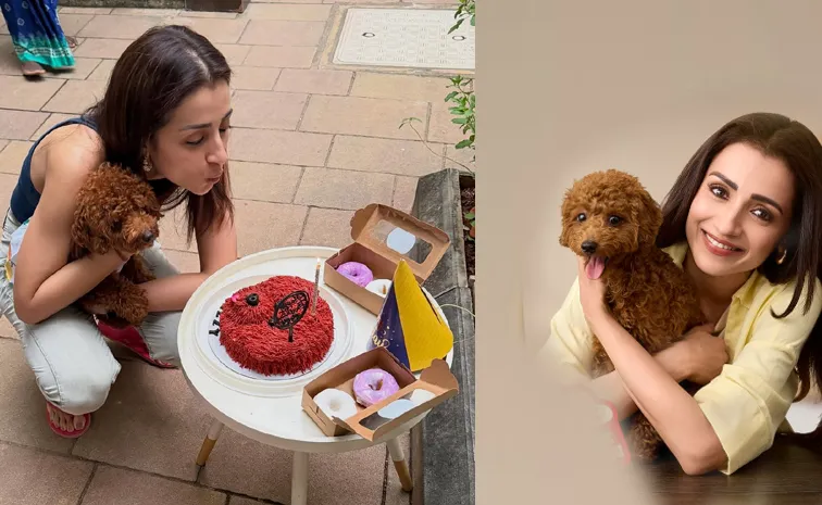actress Trisha celebrate her dog birthday
