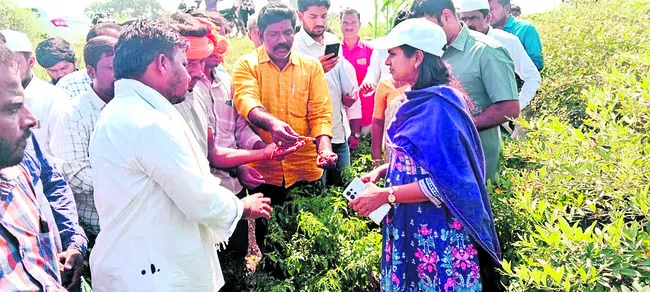 రైతులకు అందుబాటులో ఉండండి 