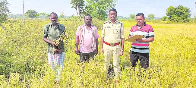 అట్రాసిటీ కేసుపై విచారణ