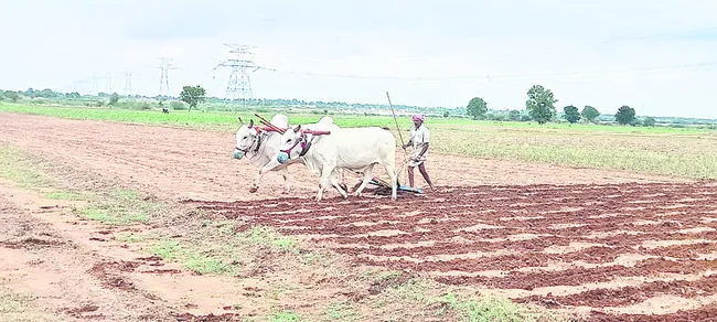 ఎదురుచూపులు