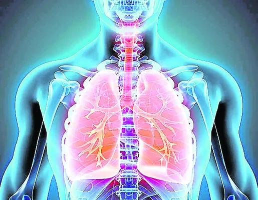 ఊపిరితిత్తులను కాపాడుకుందాం 