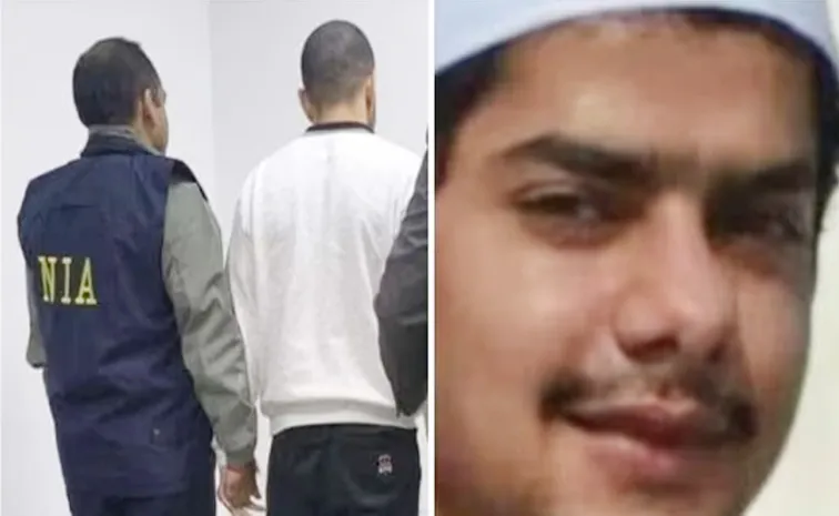 NIA gets 11 day custody of Anmol Bishnoi