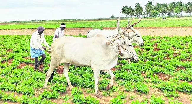 ఒట్టిమాటలు.. ఉత్తచేతులు