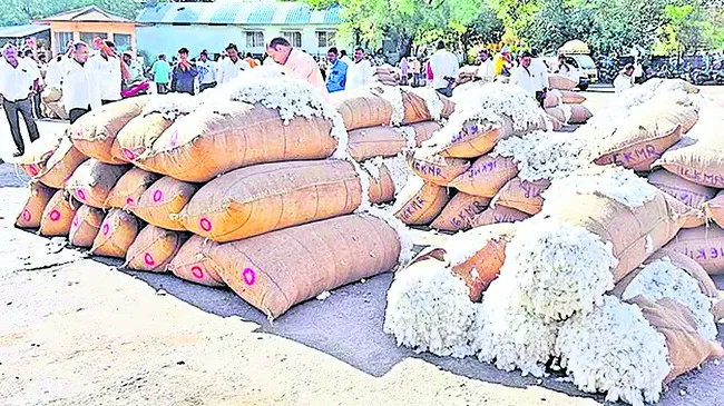 పత్తి సేకరణ!