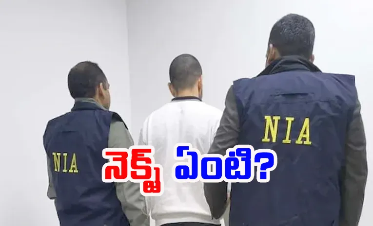 Anmol Bishnoi brought to India