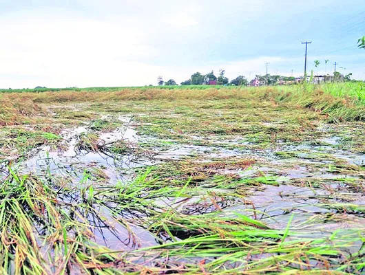 పరిహాసమేనా ?