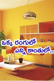 Painting for New House Trending Colour House Construction Tips5