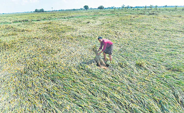 నష్టపరిహారం కావాలంటే.. మీ ధాన్యం కొనం