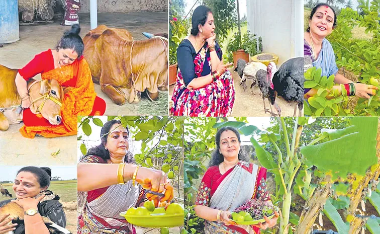 Actress Seetha organic farm SeethaVanam in Coimbatore