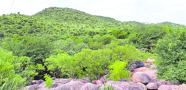 ప్రభుత్వ భూములపై టీజీఐఐసీ నజర్‌ 