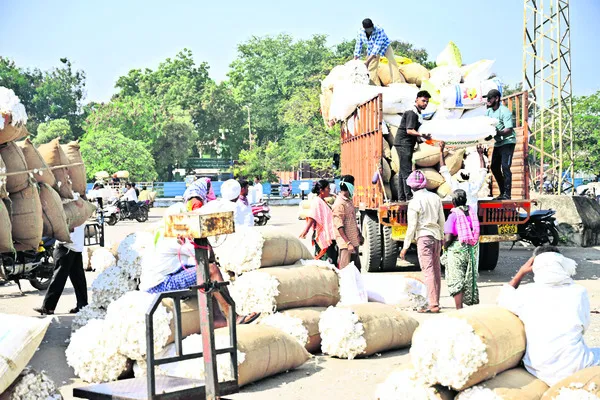 పత్తి కొనుగోళ్లు షురూ.. 