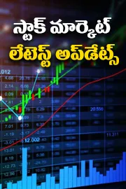 Stock Market November 20 Sensex Nifty opens higher 