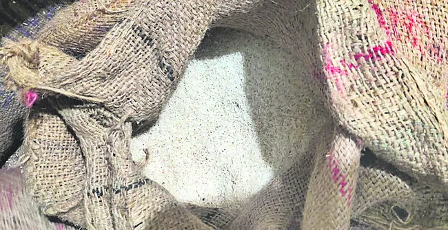 లావెక్కుతున్న సన్నబువ్వ