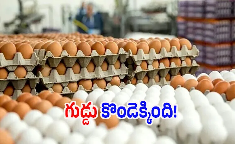 Egg Prices Hit AllTime HighAs Supply Shrinks Winter Demand Surges