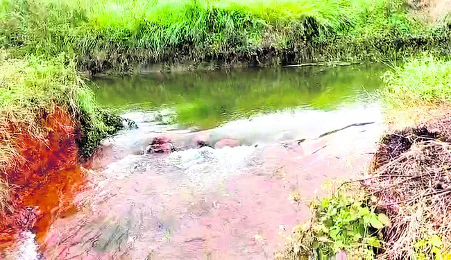 తెలుగుగంగ ఉప కాల్వకు గండి 