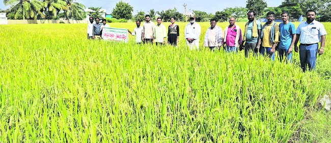 యాజమాన్య పద్ధతులు పాటించండి 