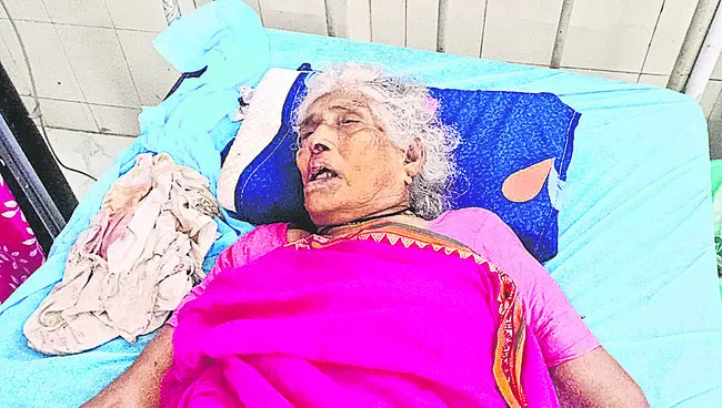 స్కార్పియో బోల్తా పడి వృద్ధురాలి మృతి 