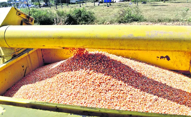 దిగుమతులతోనే మొక్కజొన్న ధరల పతనం