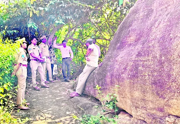 పర్యాటక అభివృద్ధికి కృషి
