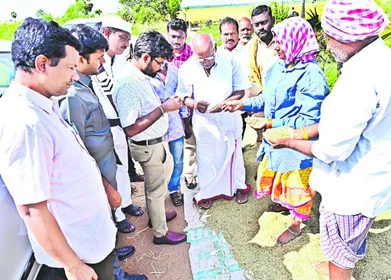 కొనుగోలు కేంద్రాల్లో ధాన్యం విక్రయించాలి 