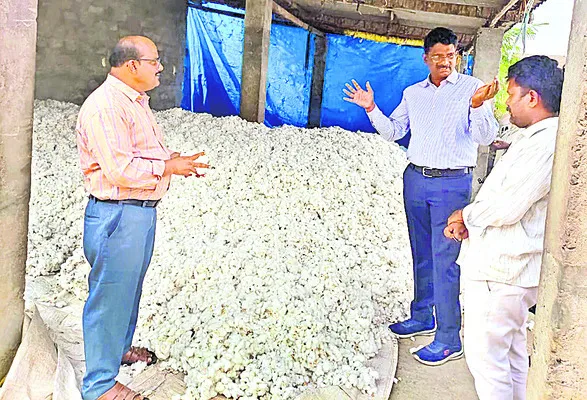 మద్దతు ధరకు పత్తి కొనుగోలు 