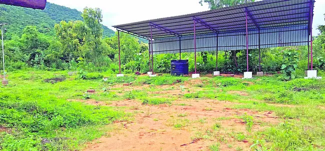 చంద్రబాబు పాలనలో.. తీరని గజ వేదన