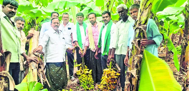 అరటి  రైతులను  ప్రభుత్వం ఆదుకోవాలి 