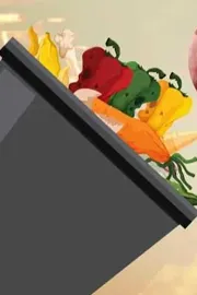 Farm sector can maintain 4 pc growth over next 10 years NITI member