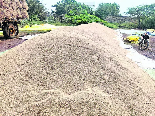 జిల్లాలో వరి సాగు వివరాలు