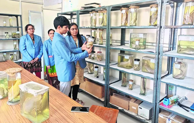 మూడు నెలలు నిల్వ.. 