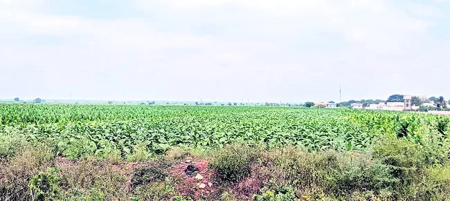 రైతుల గుండెల్లో ‘పైపులైన్‌’ గుబులు