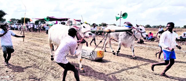 హోరాహోరీగా బండలాగుడు పోటీలు