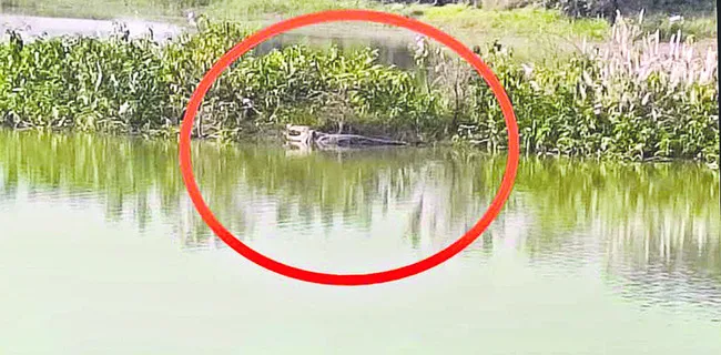 రేషన్‌ బియ్యం స్వాధీనం   