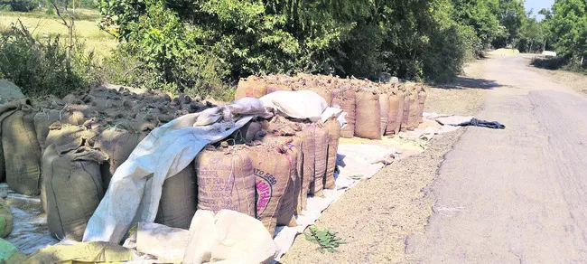 దొడ్డు వడ్లకు తిప్పలు