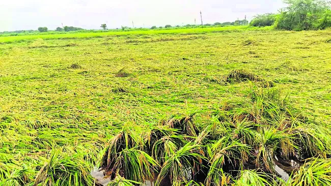 అన్ని విధాలా నష్టమే.. 
