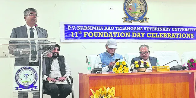 పశు సంరక్షణకు ప్రాధాన్యం 