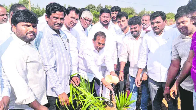 ఆయిల్‌పామ్‌ సాగుతో ఆర్థిక భరోసా