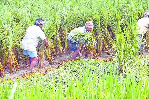 ఏం చేశారని మాకోసం?