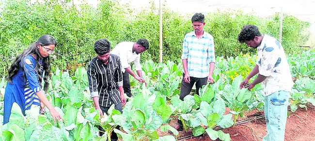 నేర్చుకోవాలి.. పంట పండించాలి