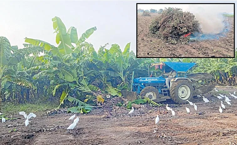 Chandrababu Cheated Farmers: Started Another New Drama