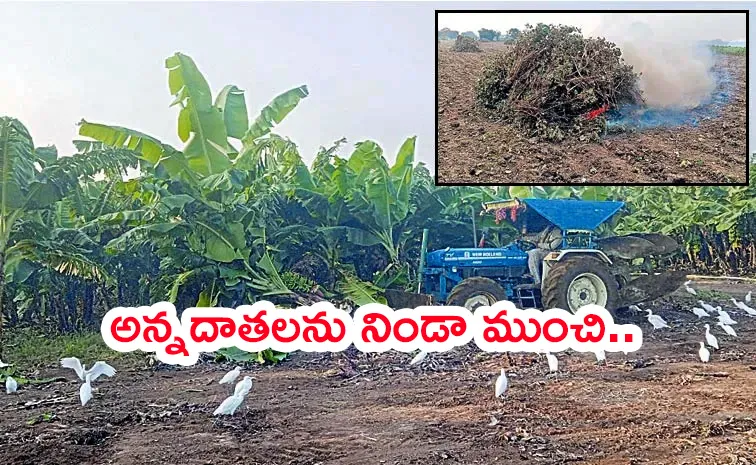 Chandrababu Cheated Farmers: Started Another New Drama
