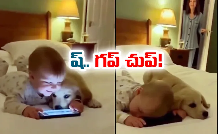 A Pet dog and a small boy funny video goes viral