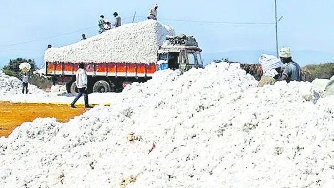 ఎకరాకు 11.77 క్వింటాళ్లు