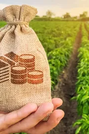 Agricultural Income and Tax Burden Calculation