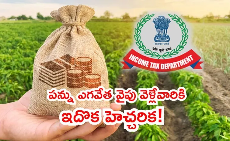 Agricultural Income and Tax Burden Calculation1