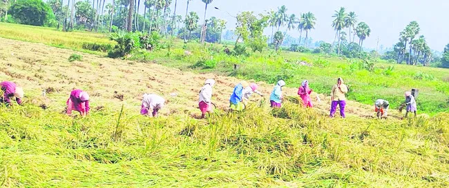 అన్నదాతకు తుపాను గండం 