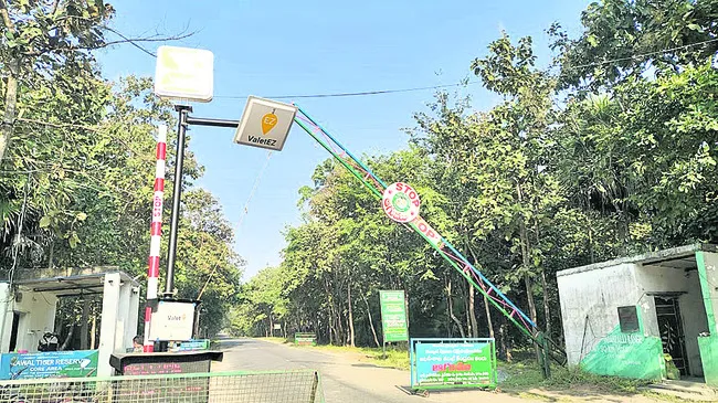 అక్రమాలకు చెక్‌