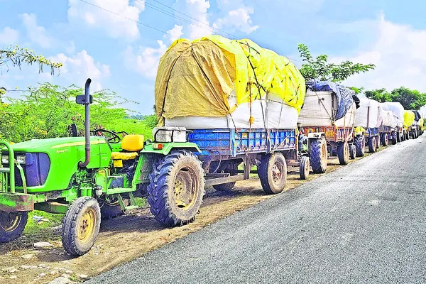 పత్తిపై పరిమితి ఎత్తివేత